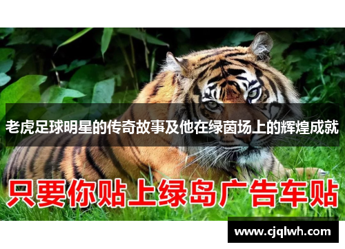 老虎足球明星的传奇故事及他在绿茵场上的辉煌成就