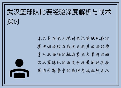 武汉篮球队比赛经验深度解析与战术探讨
