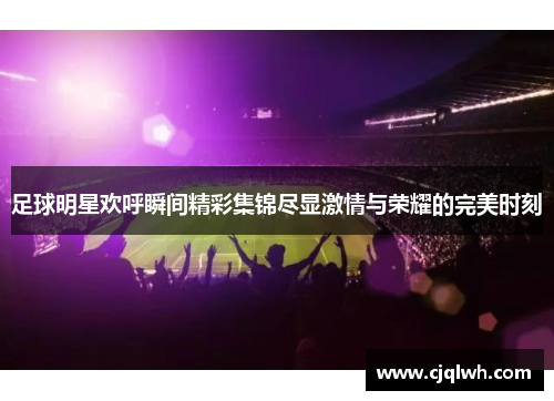 足球明星欢呼瞬间精彩集锦尽显激情与荣耀的完美时刻