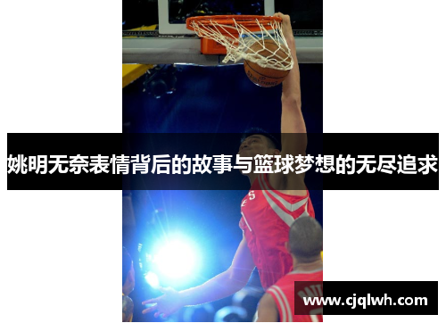姚明无奈表情背后的故事与篮球梦想的无尽追求